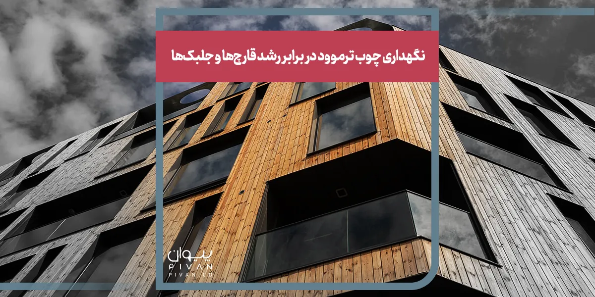 نگهداری چوب ترموود در برابر رشد قارچ‌ها و جلبک‌ها
